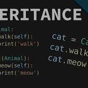 Python Class Inheritance Classes Part 3