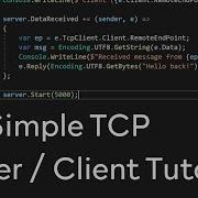 C Simple TCP Server Client Tutorial