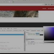 Using Firebug With The STYLE Tab
