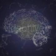 Plexus Brain Rotation 01