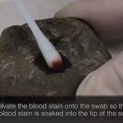 Processing Samples From A Rock Surface On The RapidHIT Using A Swab
