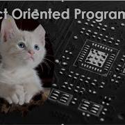Object Oriented Programming Data Scientist