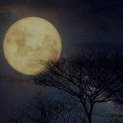 Moonlight Shadow 12 Single Remastered 2013 Mike Oldfield Slowed Down Reverb