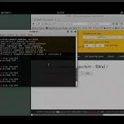 A1 Injection OS Command Injection Blind Level Low