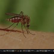 Max Minute How Is The Coronavirus Spread