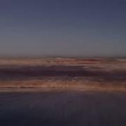 Magic Psilocybin Mushroom Trip Simulation By The Sea