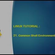 Linux Tutorial 21 Common Shell Environment Variables On Linux