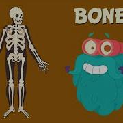 Bones The Dr Binocs Show Learn Videos For Kids