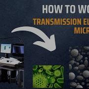 Transmission Electron Microscope TEM How Do Electron Microscopes Work