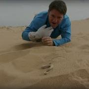 Змея гремучка прячется в песке Смертельная 60 BBC Earth