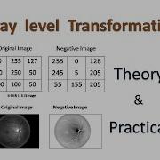 Gray Level Transformation Negative Transformation How Can Apply Negative Transform On Image Lec 5