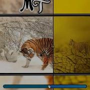 Creative Image Comparison Slider Html CSS Vanilla Javascript