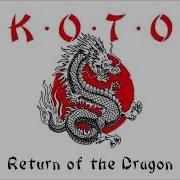 Koto Bionic Brain Cover