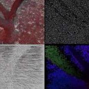 Real Time Optical Flow And Semi Dense Point Tracking On GPU