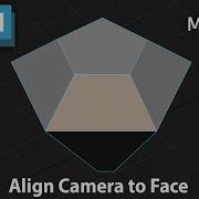 Align Camera To Face Script For Maya