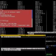 X SIXEL Window In SKK Term