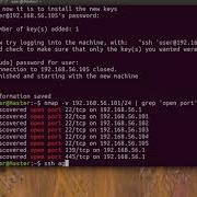 Auto SSH Python Script