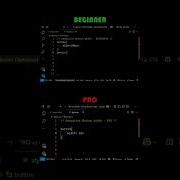 Noob Vs Pro Junior Vs Senior Developer Webdevelopment Webdesign Html Css Coding Javascript