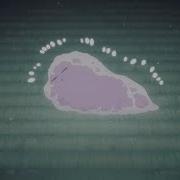 Bocchi Dies