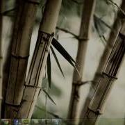 Run PHP Using Wamp Server