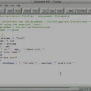 Variable Initialization Turing