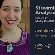 Learn AWS Streaming Analytics For FREE Dive Into Amazon Kinesis Streams Firehose RedShift S3
