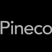 Pinecone Быстрый и масштабируемый поиск с использованием ИИ