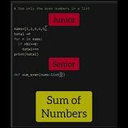 Junior Vs Senior Python Developer Shorts Python Programming Coding