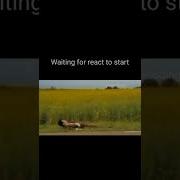 Waiting For React To Start Coding Memes Programming Memes Short Shorts