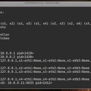 Mininet Custom Topologies