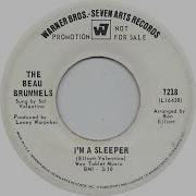 The Beau Brummels Long Walking Down To Misery Promo Mono 45 Vinyl