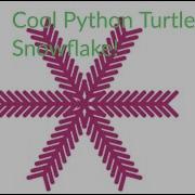 Python Turtle Cool Snowflake Design With Random Colors