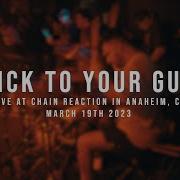 197 Drum Cam Stick To Your Guns 03 19 2023