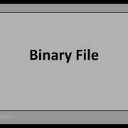 Python File Handling Binary File