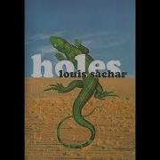 Holes Chapters 29 30 31