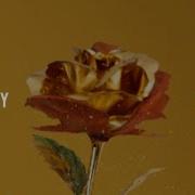 Caskets Find A Way Unofficial Lyric Video