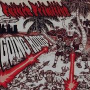 Primitive Intro