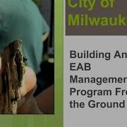 Building An EAB Management Program From The Ground Up Milwaukee S Perspective
