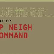 How To Use The Ip Neigh Command 2 Minute Linux Tips