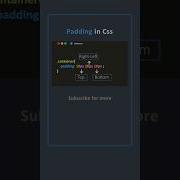 Unveiling CSS Padding Tricks Coding Shorts Css