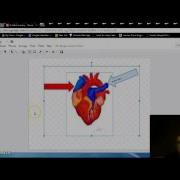 How To Annotate An Image Using Google Drawing