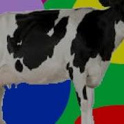 Cow Error 173