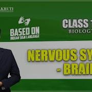 10th Biology Nervous System Brain Lessons In Sign Language For Deaf I