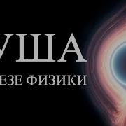 Возможно у нас есть выбор ALI