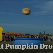 Giant Pumpkin Dropped 100 Feet Into Pool At Bauman Harvest Festival