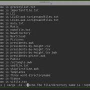 Командная строка Linux 45 Xargs