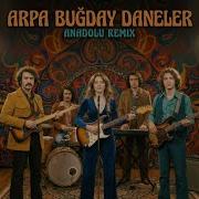 Arpa Buğday Daneler