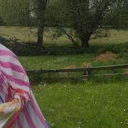 Bed Sheet Attacks Woman