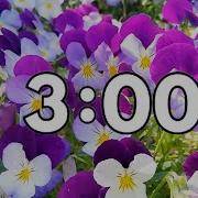 3 Minute Spring Countdown Timer Calming Music