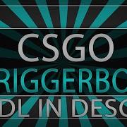 Counter Strike Global Offensive Triggerbot With Tutorial